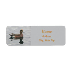 Nature Duck Photo Male Wigeon on Water
