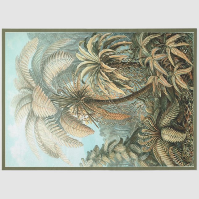 Nature Fern Ernst Haeckel  Decoupage  Tissue Paper (Front)