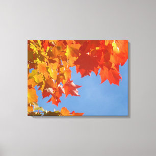 Nature Fine art Canvasa Prints Autumn Leaves Blue