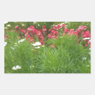 Nature Floral Pink and White Flowers Grass Rectangular Sticker