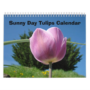 Nature Flower Calendars Sunny Day Tulips Flowers