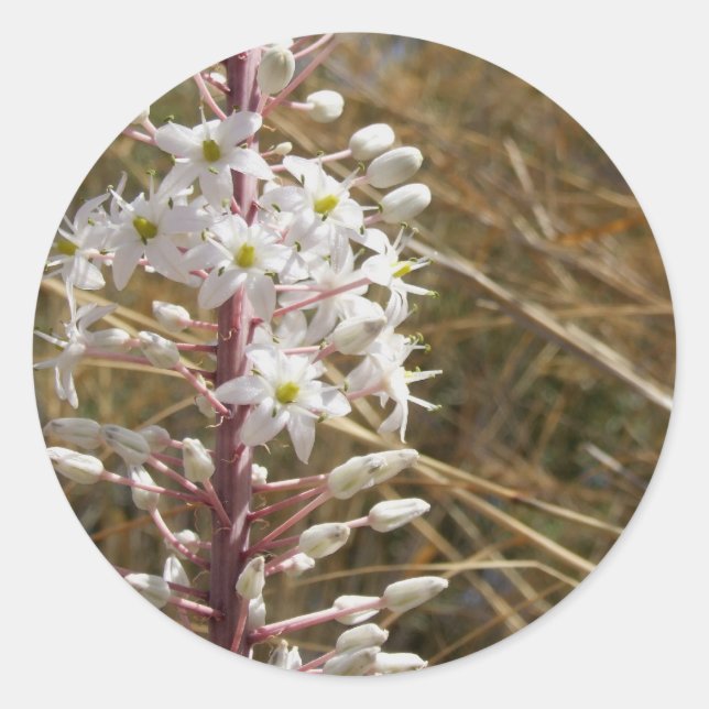Nature Flower Sticker (Front)