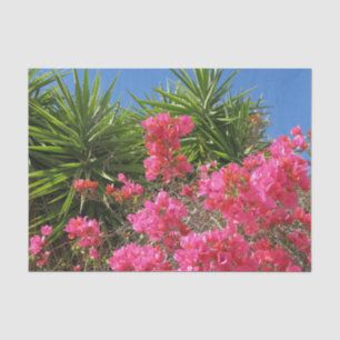 nature, flower, summer, purple, blossom, floral, p tissue paper