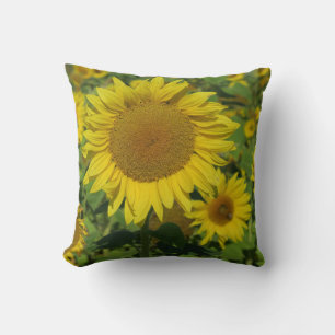 nature, flower, summer, sunflower, blossom, floral cushion