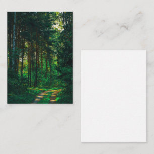 Nature Forest Birch Trees Landscape Road Enclosure Card