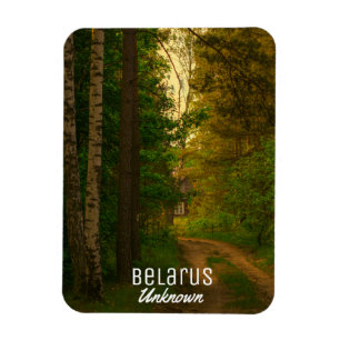 Nature Forest Rural Hut Village Belarus Unknown Magnet