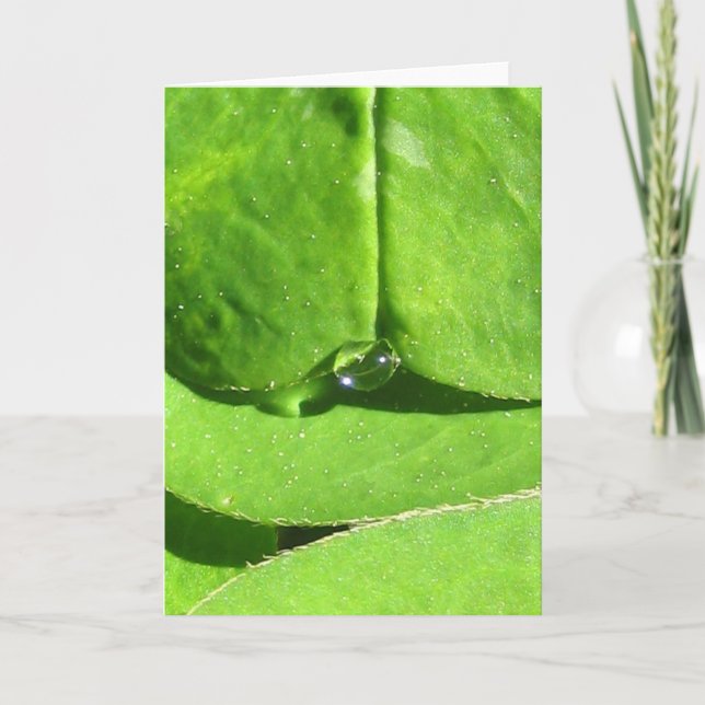 Nature Goddess Clover with Dew Card (Front)