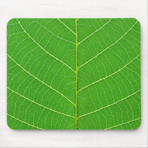 nature green tree leaf texture mouse pad