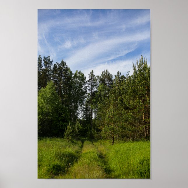 Nature Green Trees Forest Landscape Belarus Poster (Front)