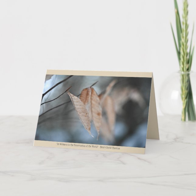 Nature Greeting Card (Front)