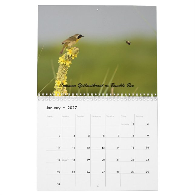 Nature Has a Sense of Humour Calendar (Jan 2027)