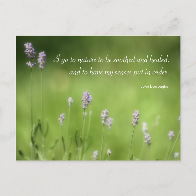Nature Heals Lavender Photography & Quote Postcard (Front)