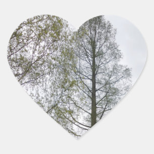 Nature Heart Sticker