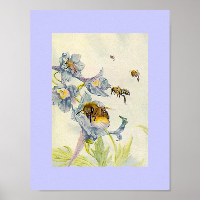 Nature Honey Bees and Morning Glory Flowers Lilac Poster (Front)