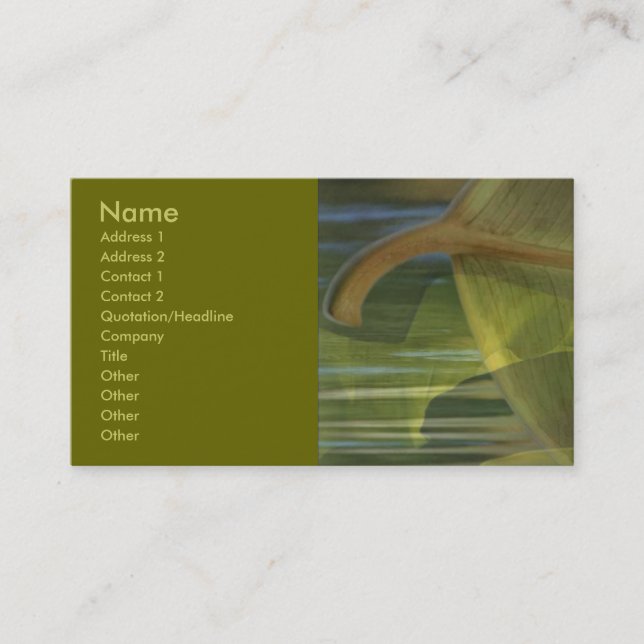 Nature In Balance Business Card (Front)