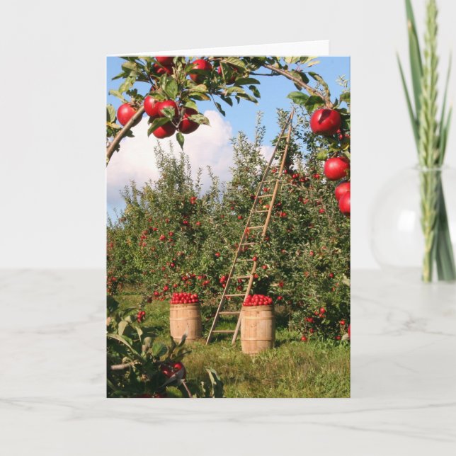 Nature Inspirations Apple Orchard Greeting Cards (Front)