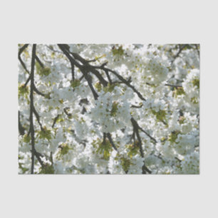 Nature Inspirations Cherry Blossoms Tissue Paper