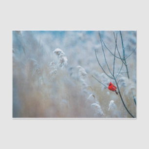 Nature Inspirations Red Cardinal in Wintry Forest Tissue Paper