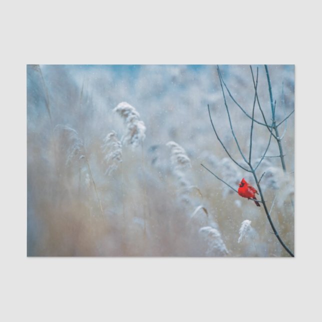 Nature Inspirations Red Cardinal in Wintry Forest Tissue Paper (Front)