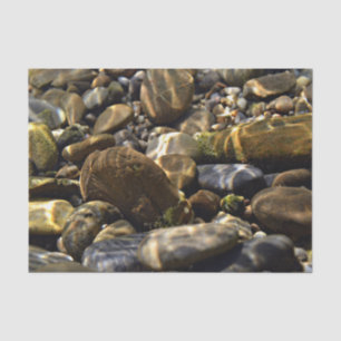 Nature Inspirations Sun Beams Underwater Rocks Tissue Paper