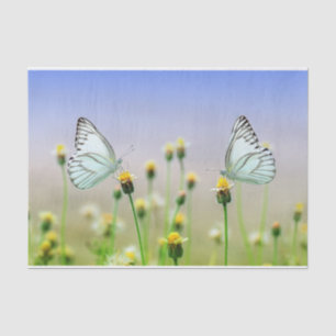 Nature Inspirations White Twin Butterflies  Tissue Paper