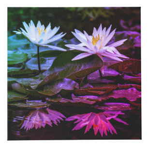 Nature Inspired 4" Photo Cube