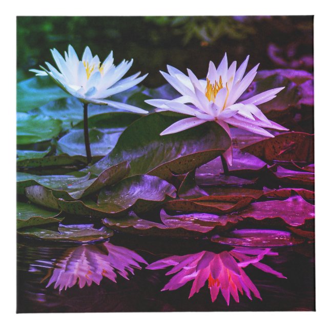 Nature Inspired 4" Photo Cube (Front)