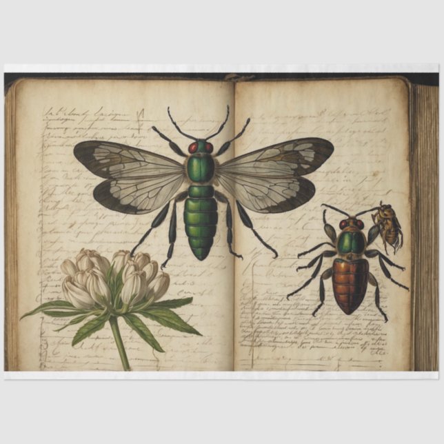 Nature Journal Tissue Paper (Front)