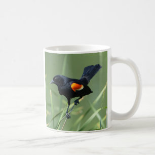 Nature Journey Red-Winged Black Bird Mug