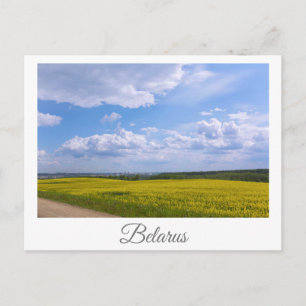 Nature Landscape Canola Field Rural Belarus Grodno Postcard