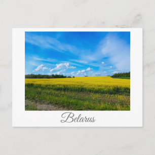 Nature Landscape Canola Field Rural Belarus Postcard