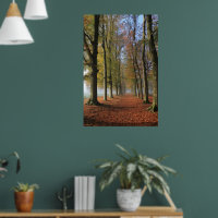 Nature landscape photography autumn trees