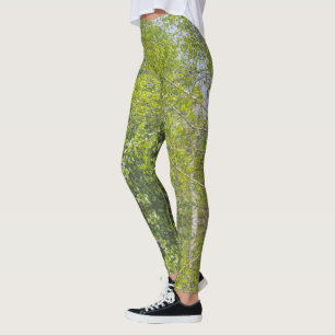 Nature Landscape Rural Scenery Birch Trees Leggings