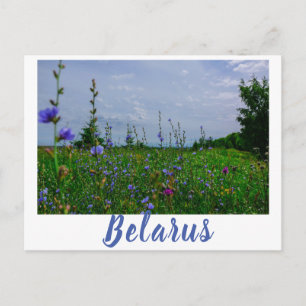 Nature Landscape Rural Scenery Field Belarus Postcard