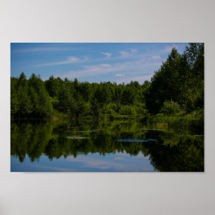 Nature Landscape Rural Scenery Lake Water Lily Poster