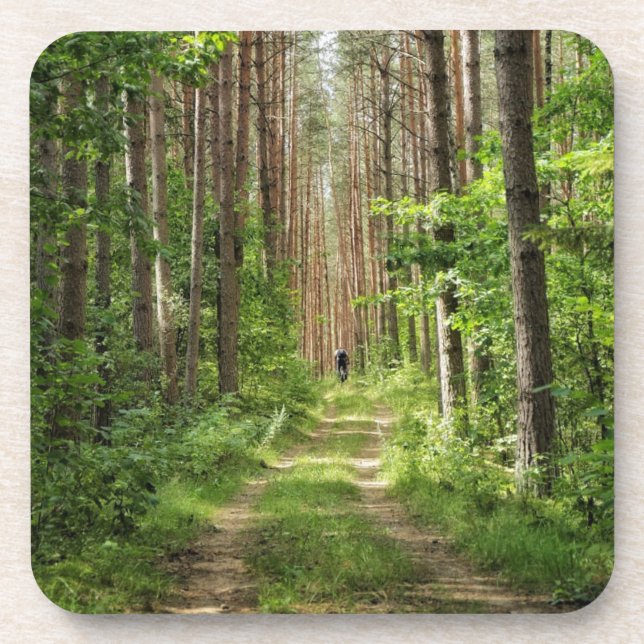 Nature Landscape Scenery Forest Belarus Coaster (Front)