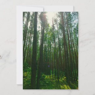 Nature Landscape Scenery Forest Belarus Flat Card