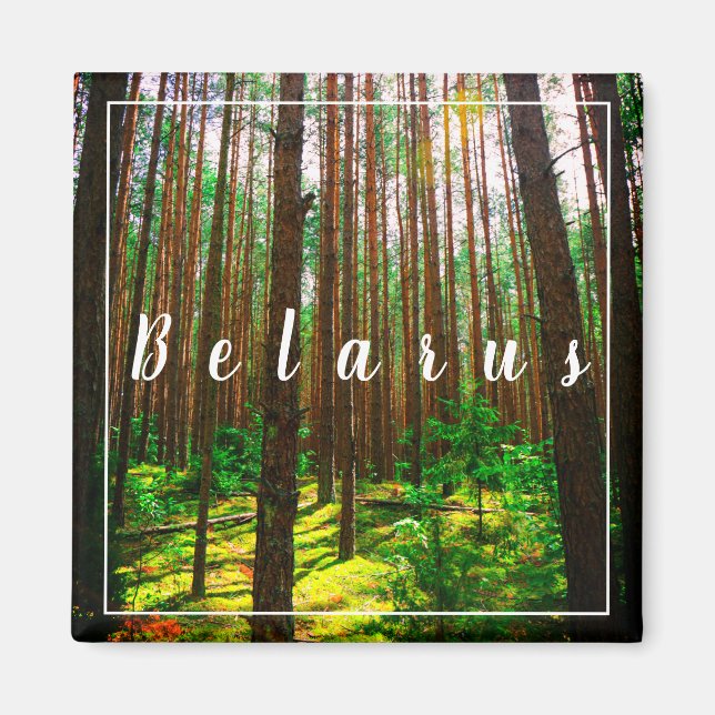 Nature Landscape Scenery Forest Belarus Magnet (Front)