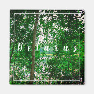 Nature Landscape Scenery Forest Belarus Magnet