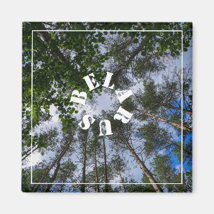 Nature Landscape Scenery Forest Belarus Magnet