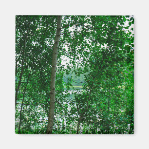 Nature Landscape Scenery Forest Belarus Magnet