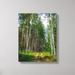 Nature Landscape Scenery Forest Birch Belarus Canvas Print
