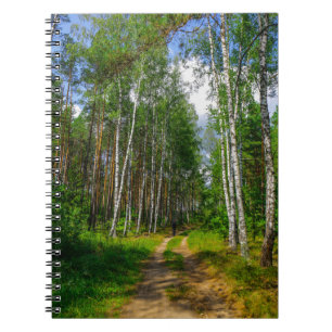 Nature Landscape Scenery Forest Birch Tree Belarus Notebook