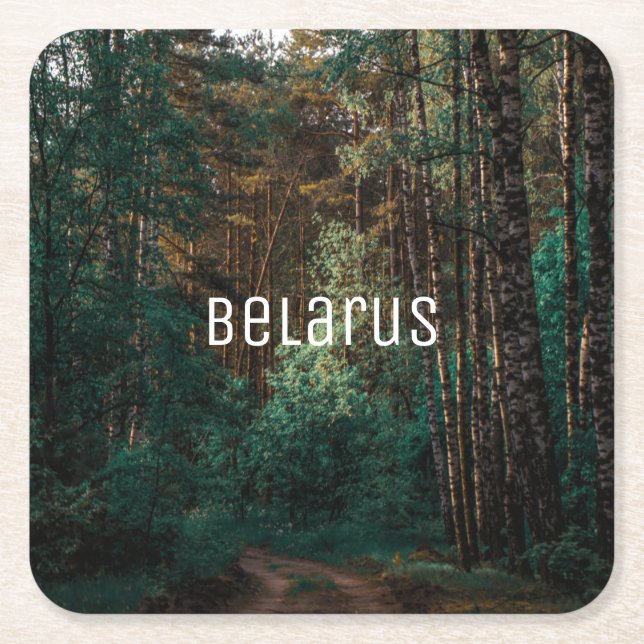 Nature Landscape Scenery Forest Birch Trees Square Paper Coaster (Front)