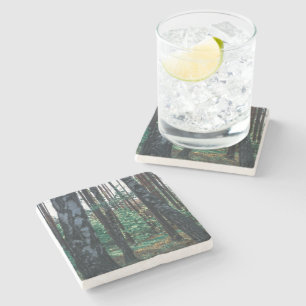 Nature Landscape Scenery Forest Birch Trees Stone Coaster