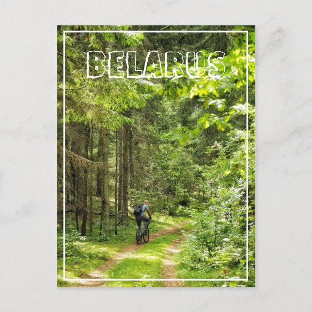 Nature Landscape Scenery Forest Cycling Belarus Postcard (Front)
