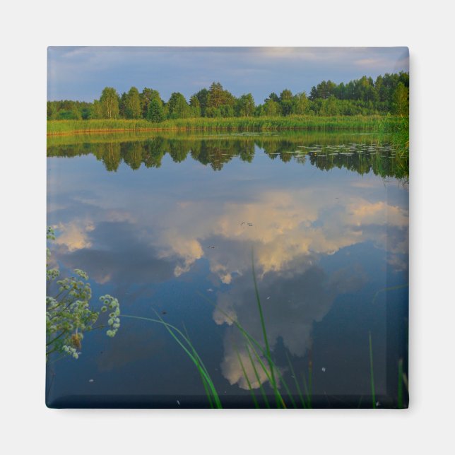 Nature Landscape Scenery Forest Lake Belarus  Magnet (Front)