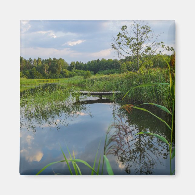 Nature Landscape Scenery Forest Lake Pier Belarus  Magnet (Front)