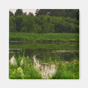 Nature Landscape Scenery Forest Pond Magnet