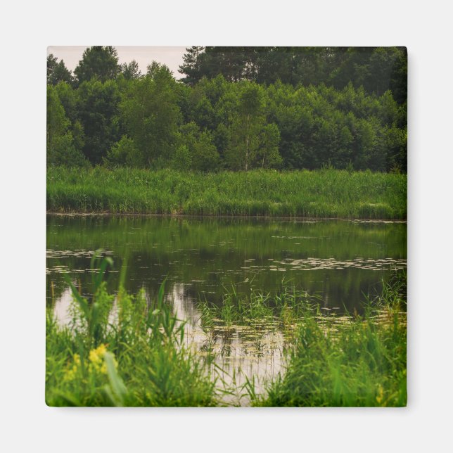Nature Landscape Scenery Forest Pond Magnet (Front)